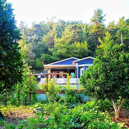 別荘 Agora Evi Camlıkoy