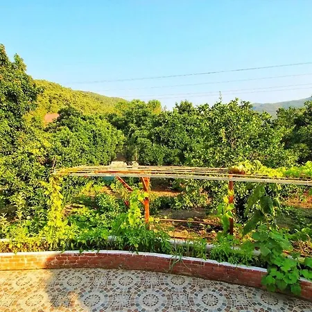 Casa de Férias Agora Evi *