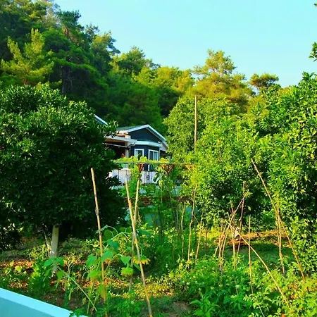 Agora Evi Case de vacanță Camlıkoy