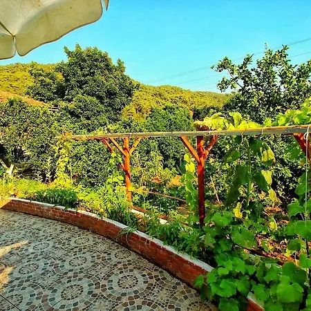 Agora Evi Case de vacanță Camlıkoy